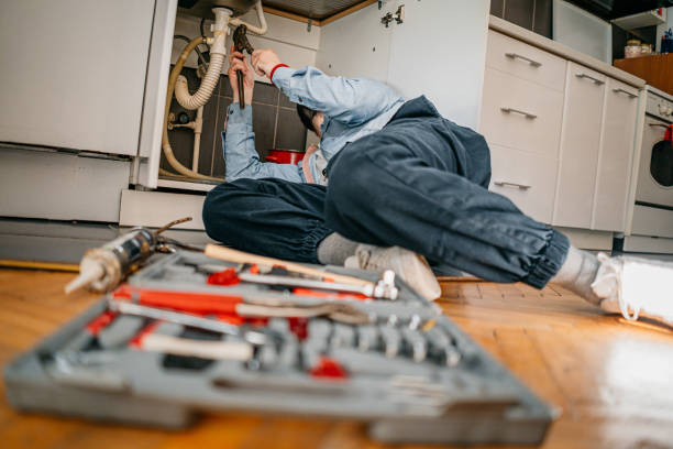 Best Clogged Drain Plumber  in Ingalls Park, IL